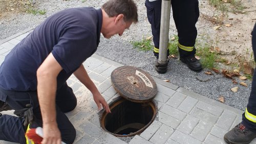 Freiwillige Feuerwehr Sedlitz