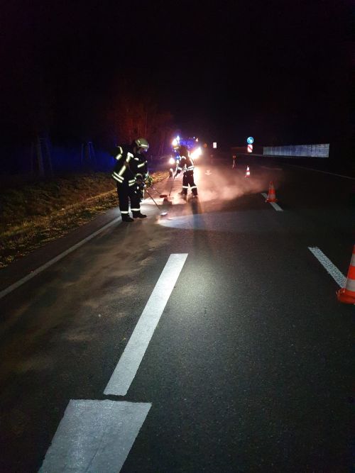 Freiwillige Feuerwehr Sedlitz