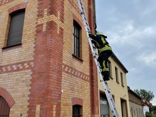 Freiwillige Feuerwehr Sedlitz