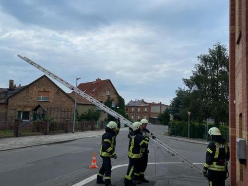 Freiwillige Feuerwehr Sedlitz