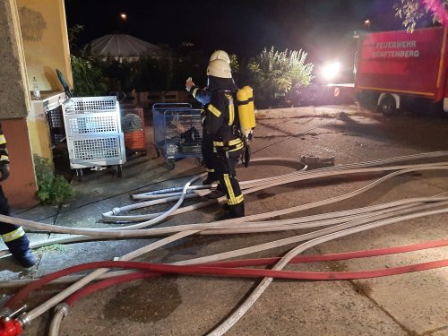 Freiwillige Feuerwehr Sedlitz