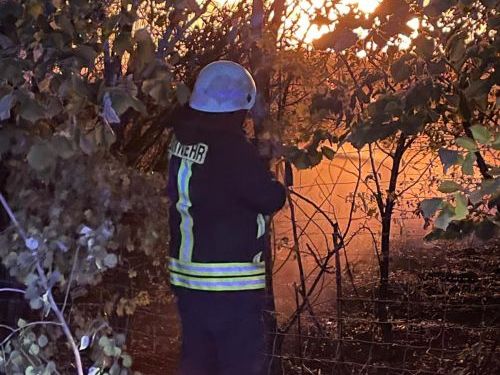 Freiwillige Feuerwehr Sedlitz