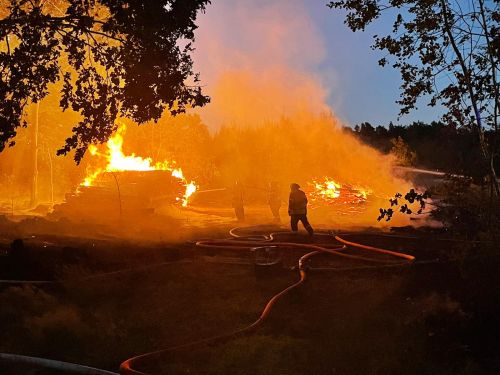 Freiwillige Feuerwehr Sedlitz
