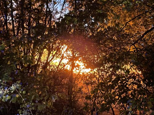 Freiwillige Feuerwehr Sedlitz