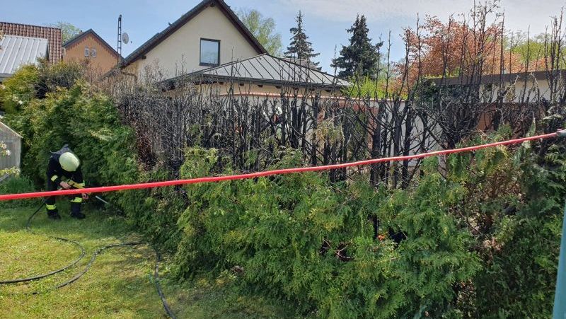 Freiwillige Feuerwehr Sedlitz