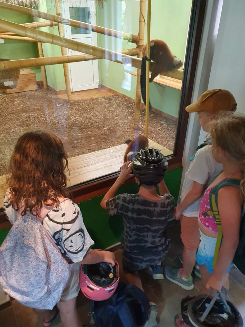 Freiwillige Feuerwehr Sedlitz