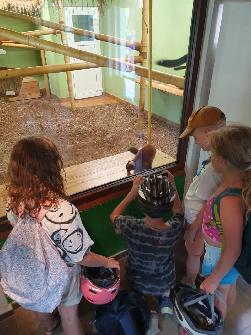 Freiwillige Feuerwehr Sedlitz