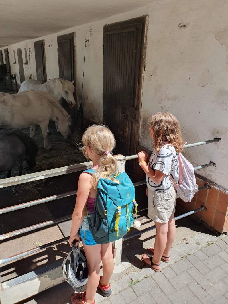 Freiwillige Feuerwehr Sedlitz