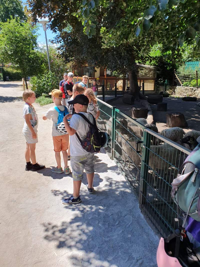 Freiwillige Feuerwehr Sedlitz