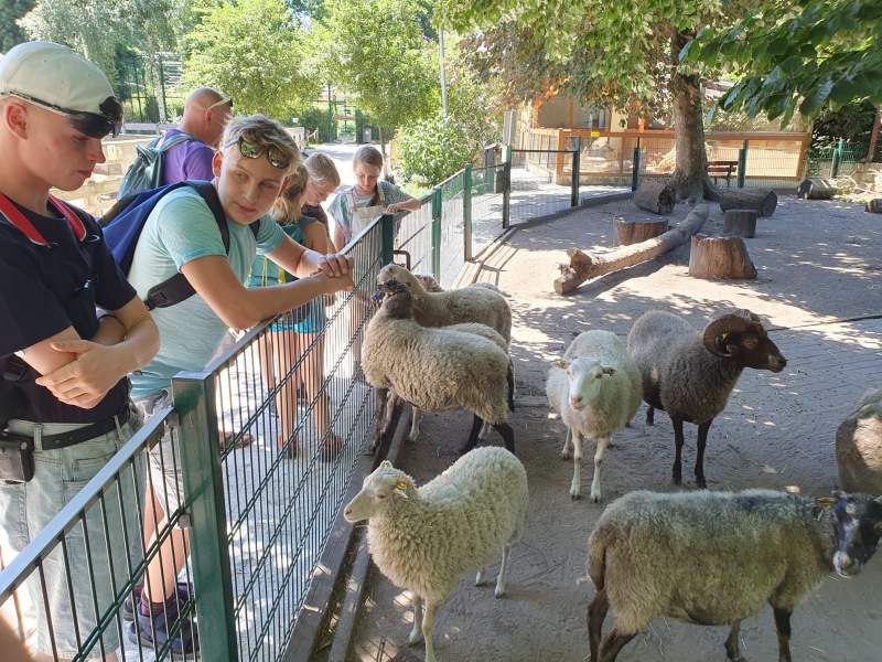 Freiwillige Feuerwehr Sedlitz