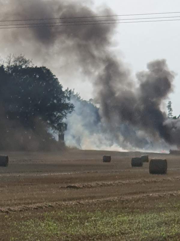 Freiwillige Feuerwehr Sedlitz