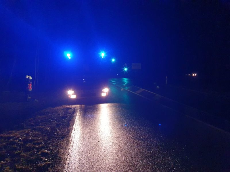 Freiwillige Feuerwehr Sedlitz