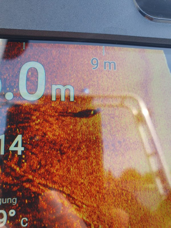 Freiwillige Feuerwehr Sedlitz