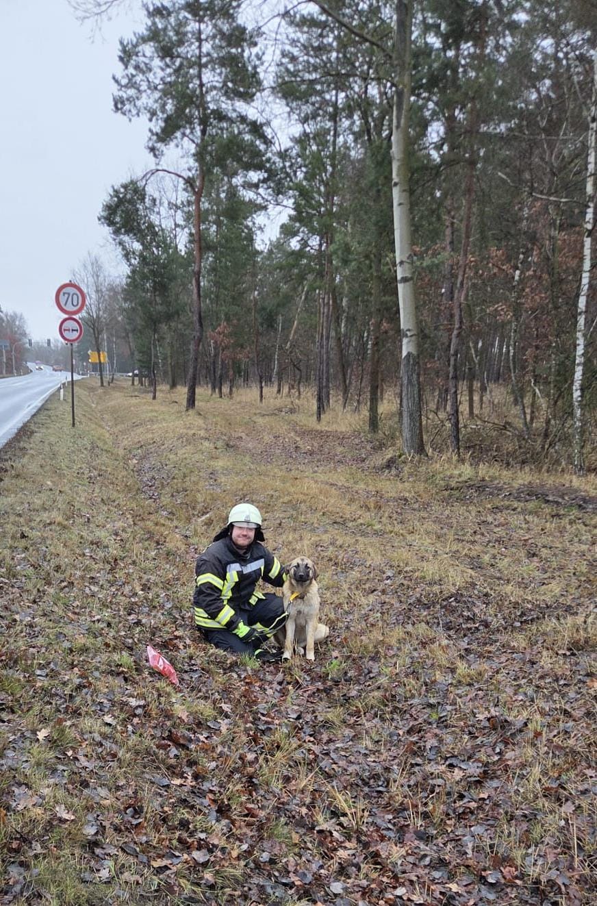 Freiwillige Feuerwehr Sedlitz