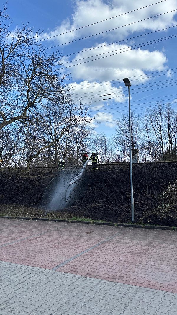 Freiwillige Feuerwehr Sedlitz