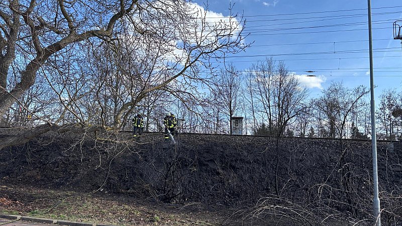 Freiwillige Feuerwehr Sedlitz