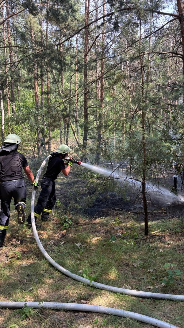 Freiwillige Feuerwehr Sedlitz