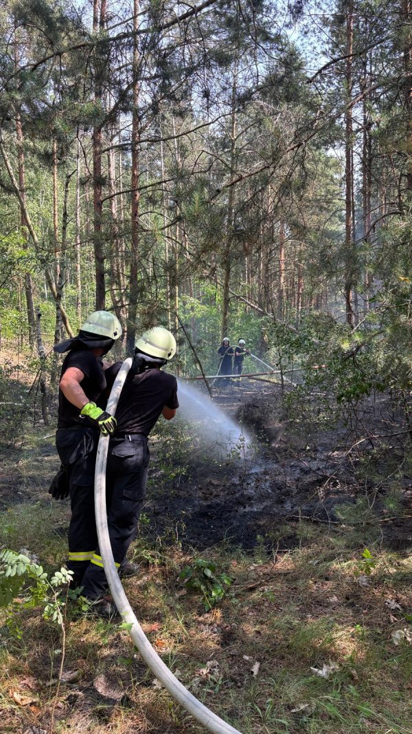 Freiwillige Feuerwehr Sedlitz