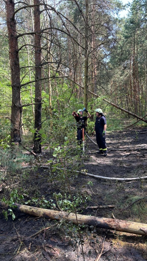 Freiwillige Feuerwehr Sedlitz