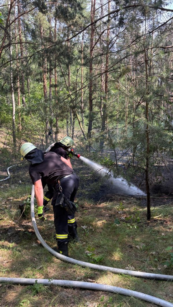 Freiwillige Feuerwehr Sedlitz
