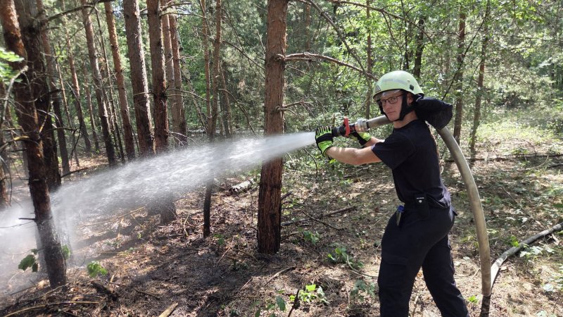 Freiwillige Feuerwehr Sedlitz