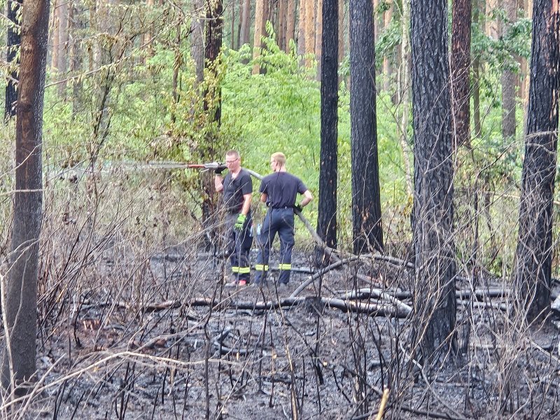 Freiwillige Feuerwehr Sedlitz