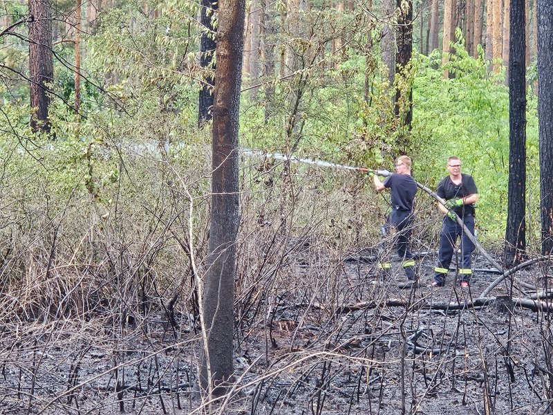 Freiwillige Feuerwehr Sedlitz