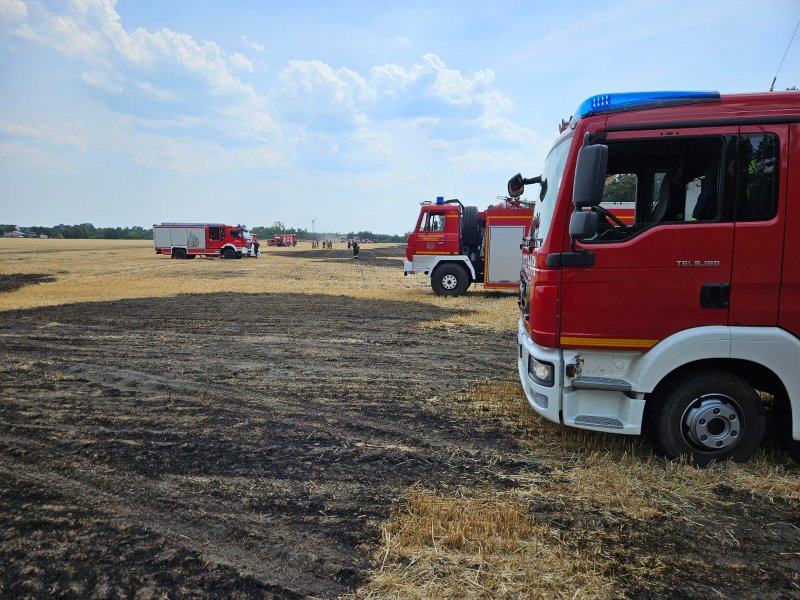 Freiwillige Feuerwehr Sedlitz