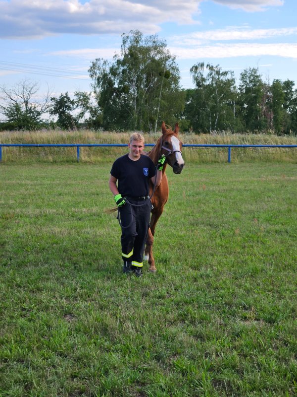 Freiwillige Feuerwehr Sedlitz