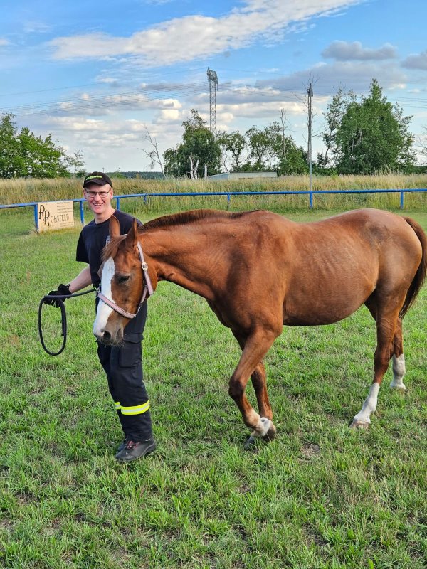 Freiwillige Feuerwehr Sedlitz