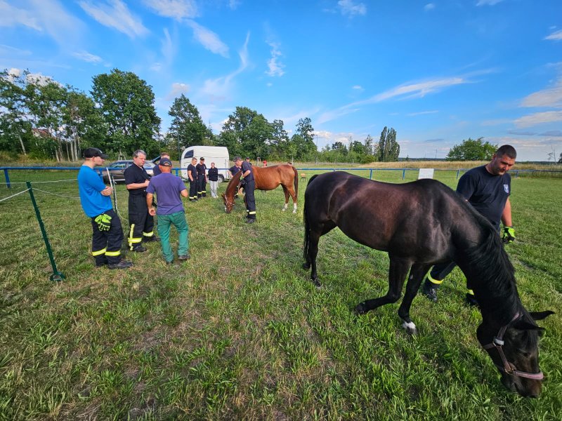 Freiwillige Feuerwehr Sedlitz