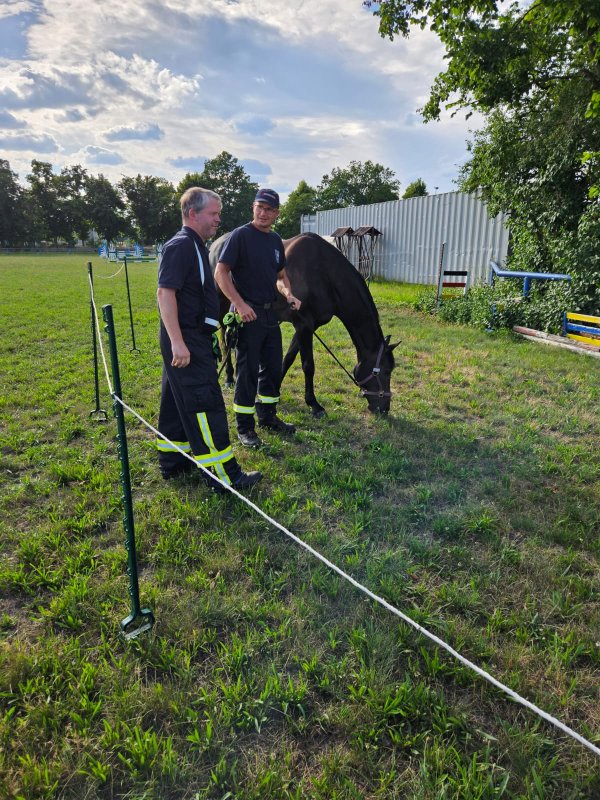 Freiwillige Feuerwehr Sedlitz